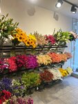 Gulcan Flowers (İstanbul, Şişli, Merkez Mah., İskete Sok., 29B), flower shop