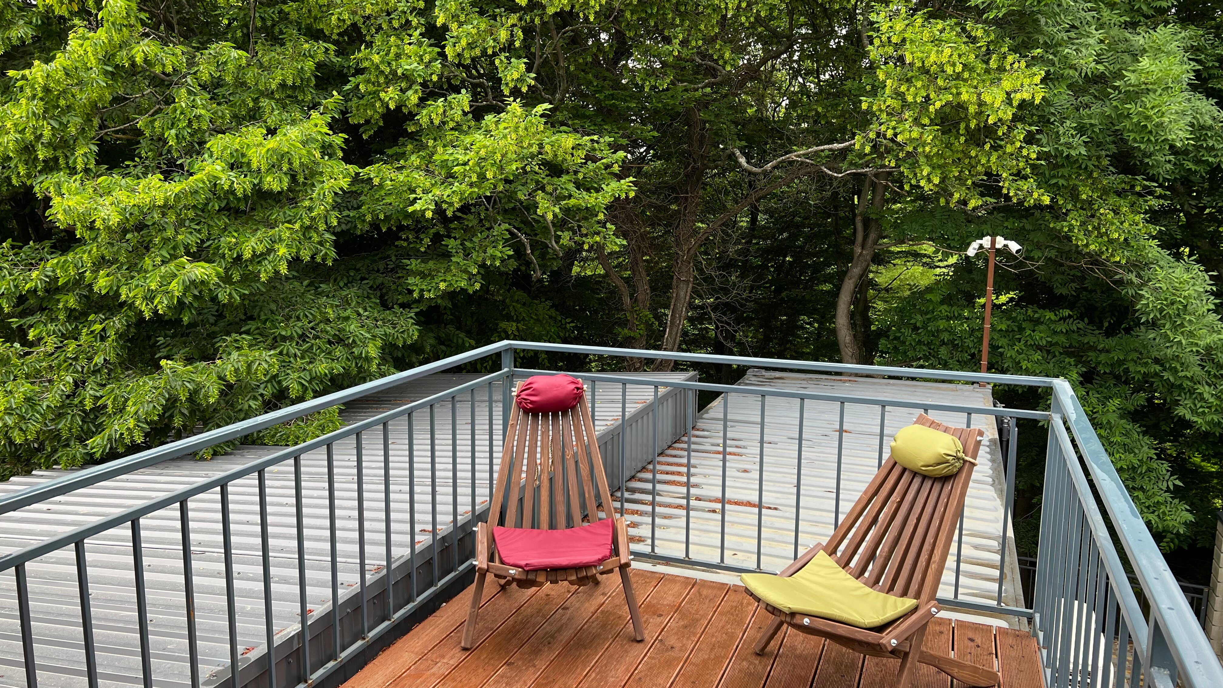 Фото Forest Dreams