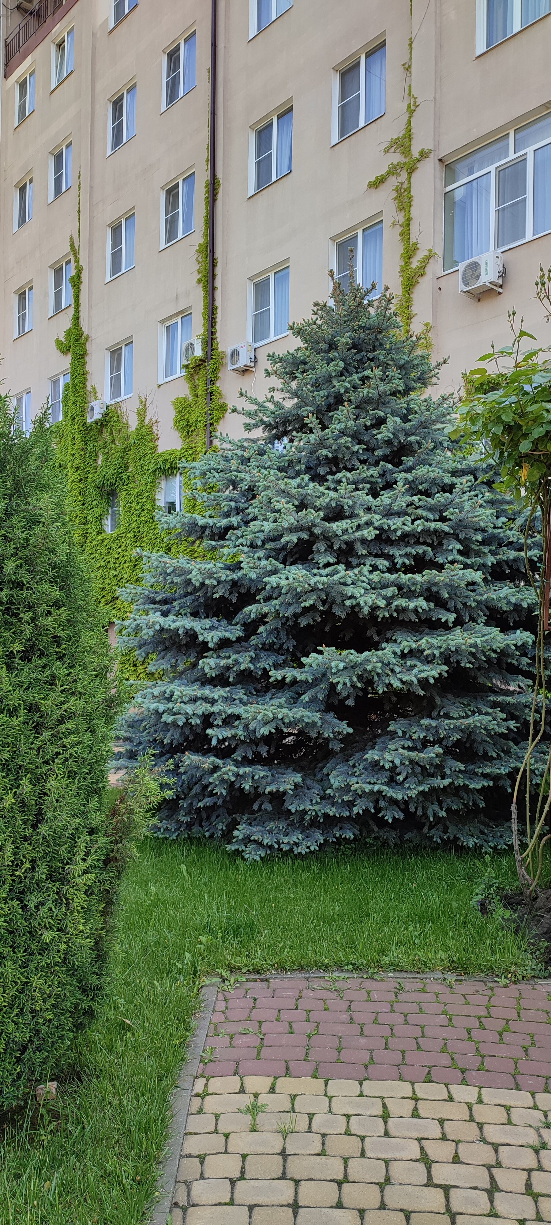 Фото Надежда