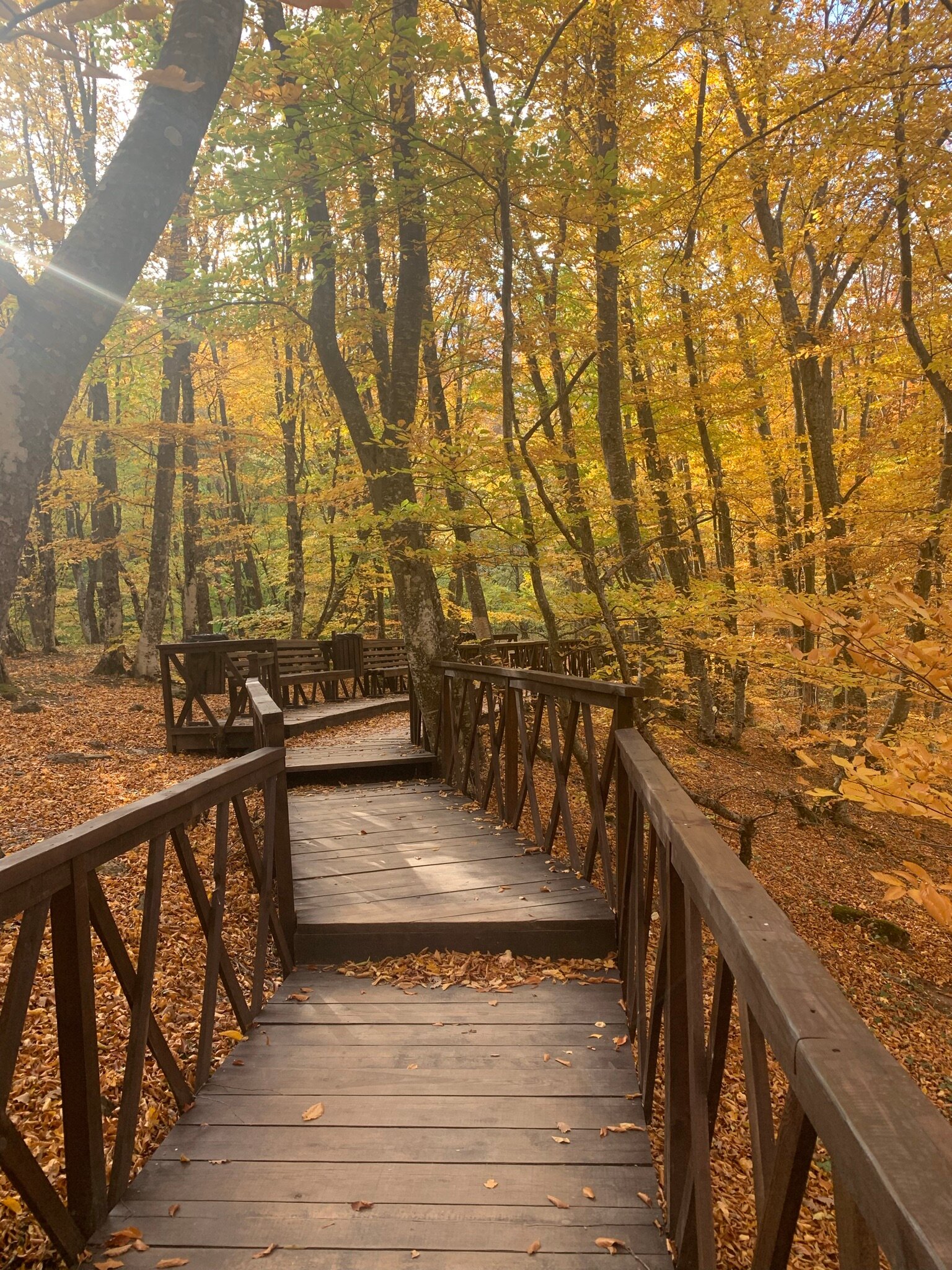 Фото Эспаньола