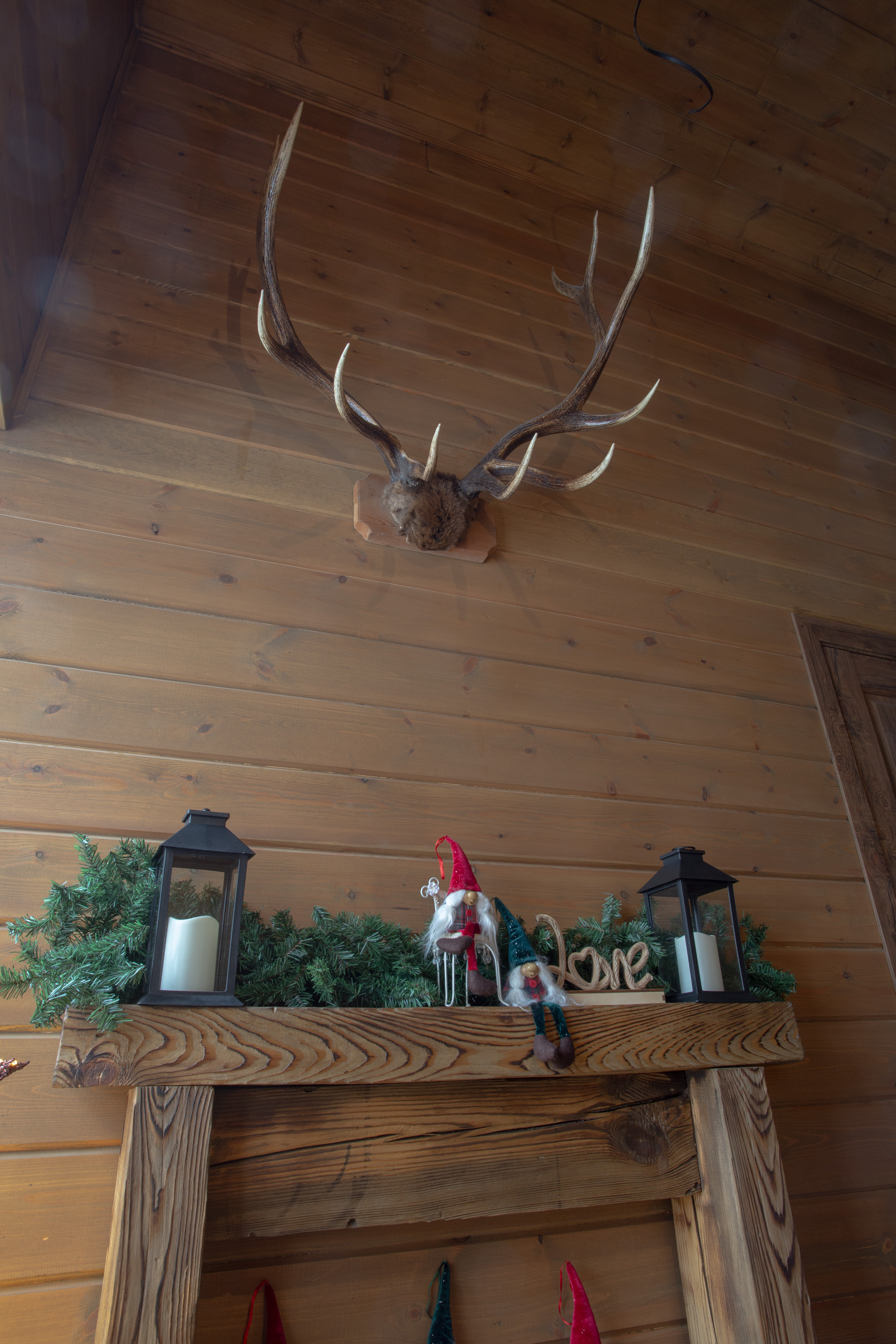 Фото Аршанский бор