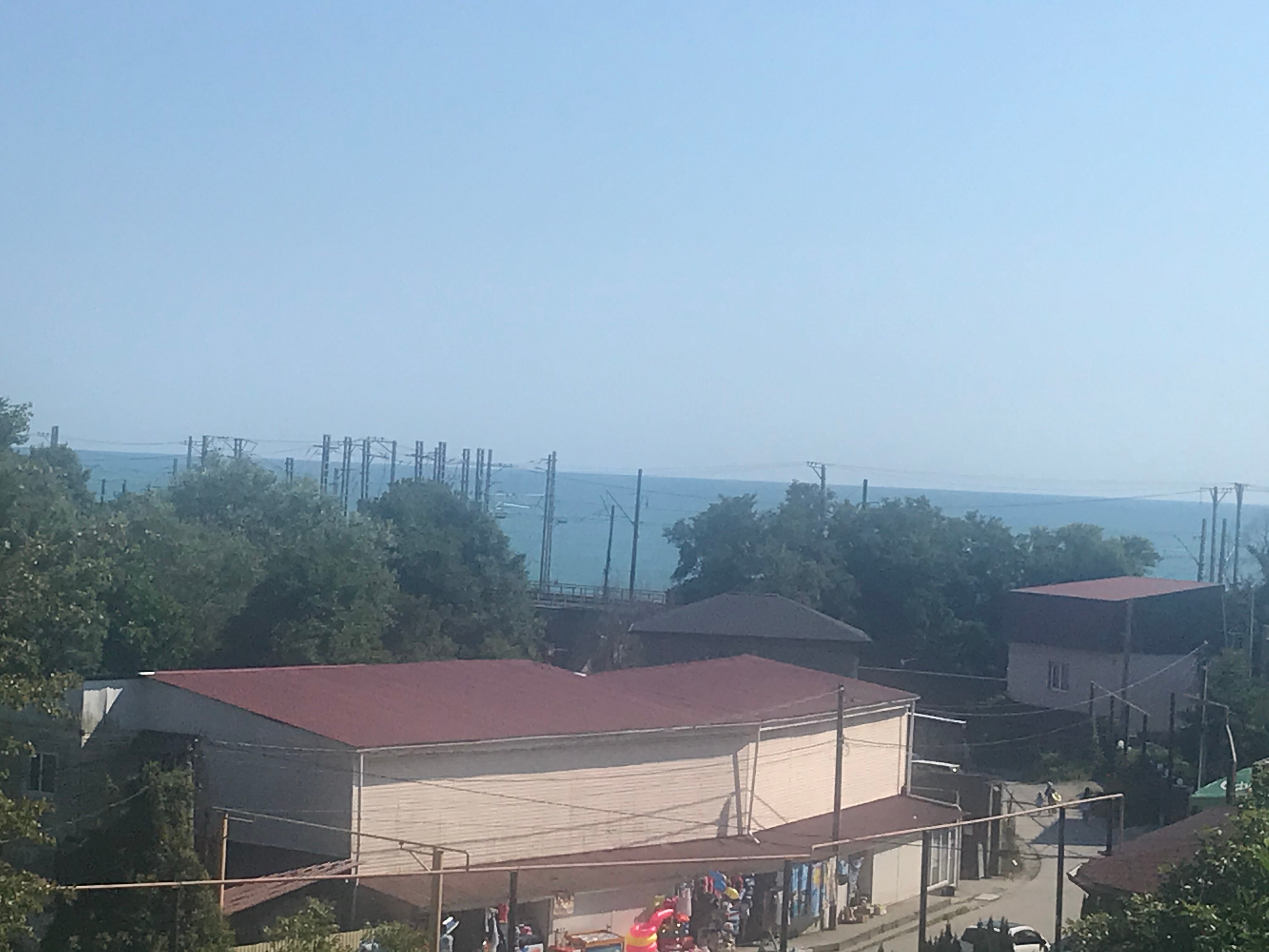 Фото Резеда