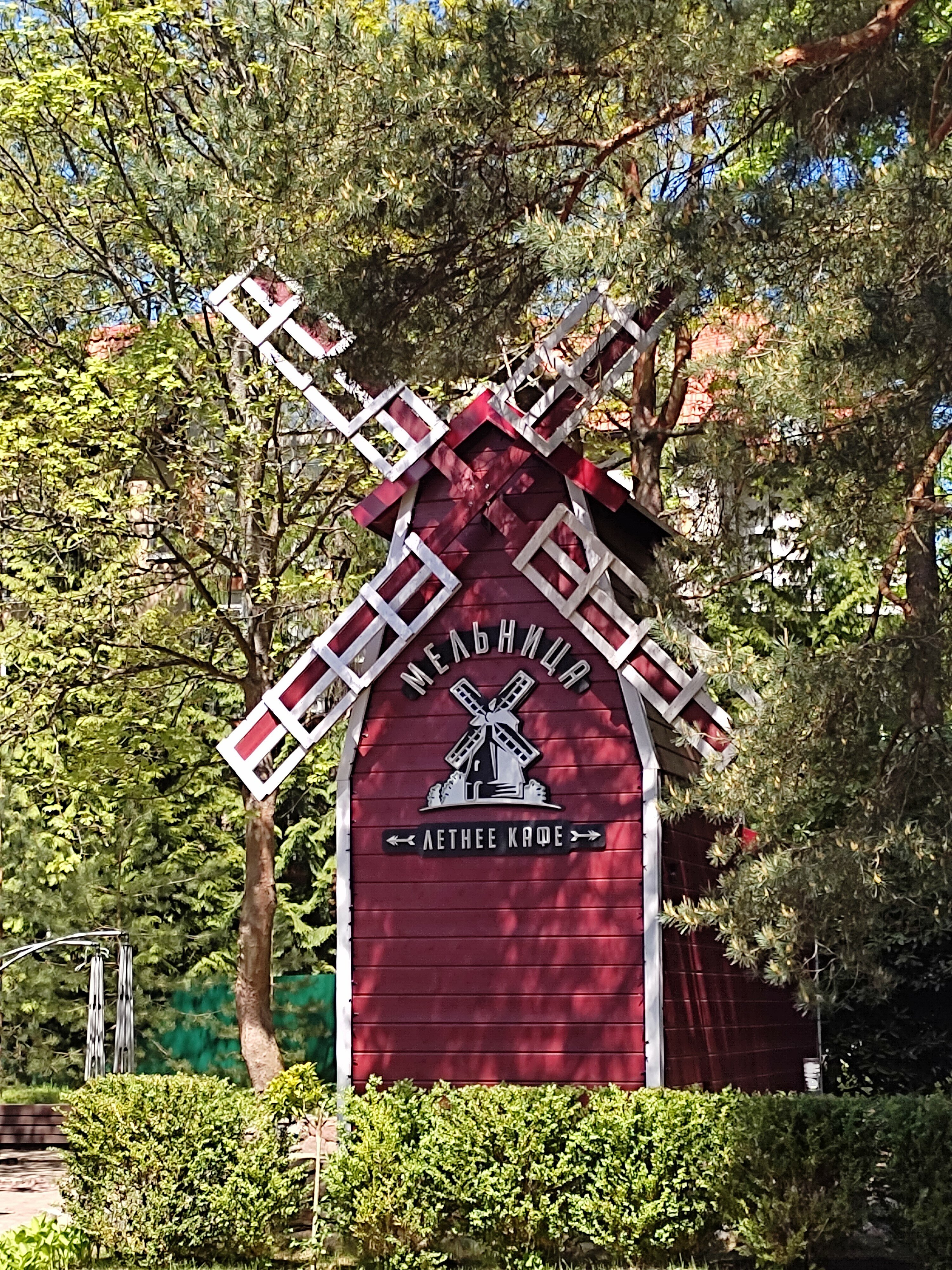 Фото Старый Доктор