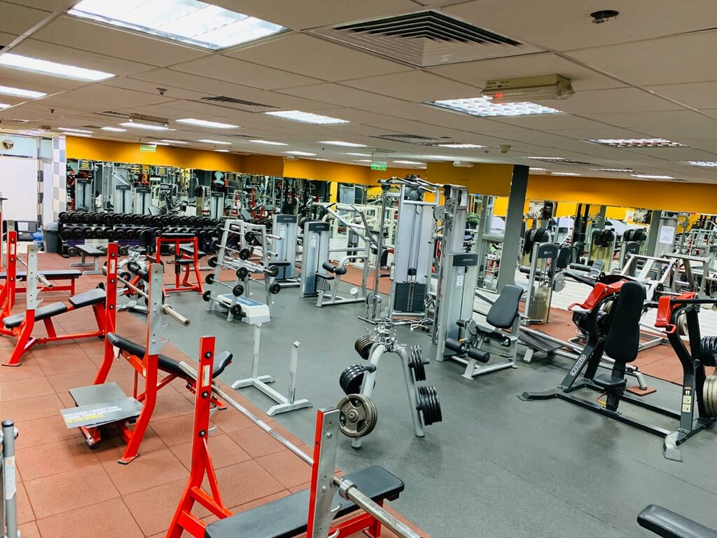 Fitness club Stay Fit Fitness Club, Dubai, photo