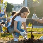 Milieu Environmental Consultancy LLC (Dar Al Salam Building, Al Marakib Street, E1, Abu Dhabi), environmental organization