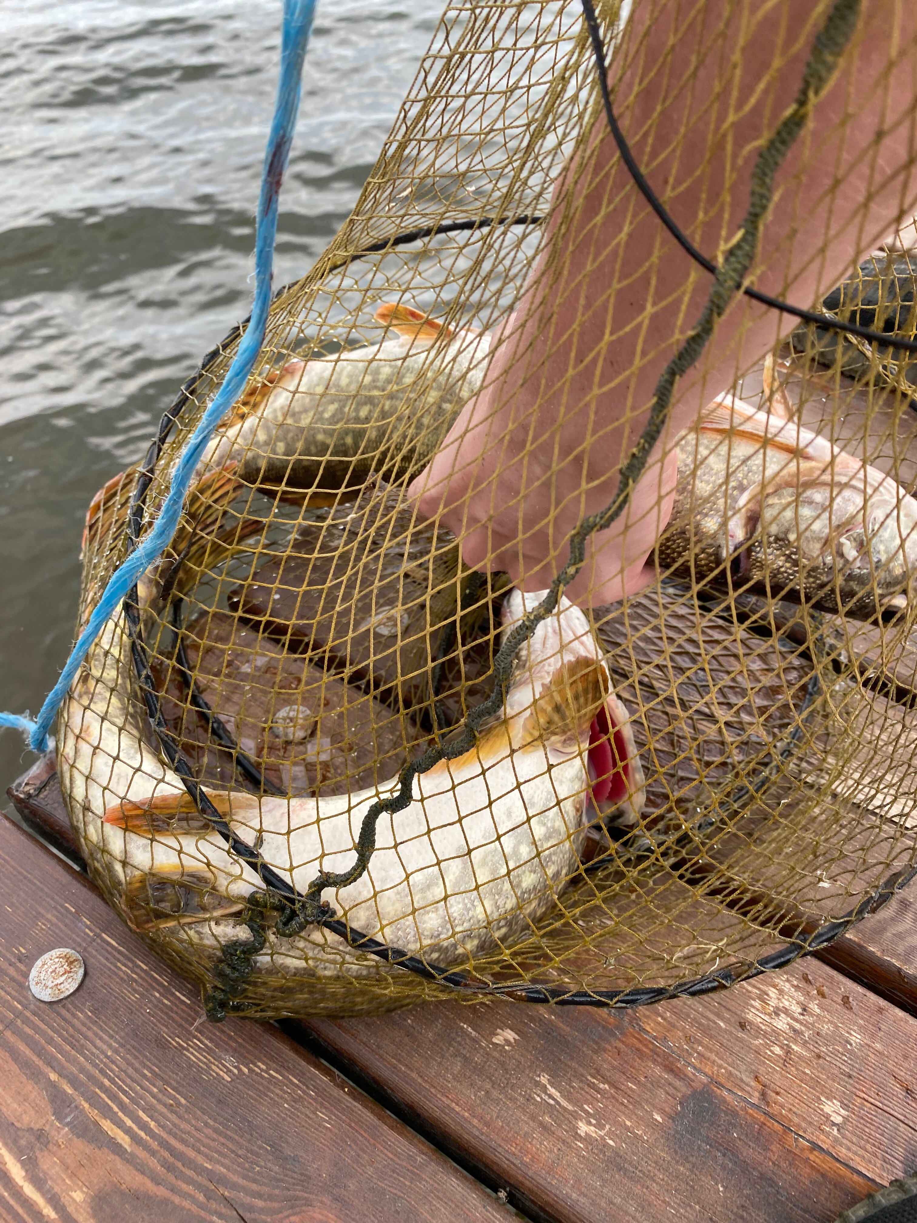 Фото СабуровДом