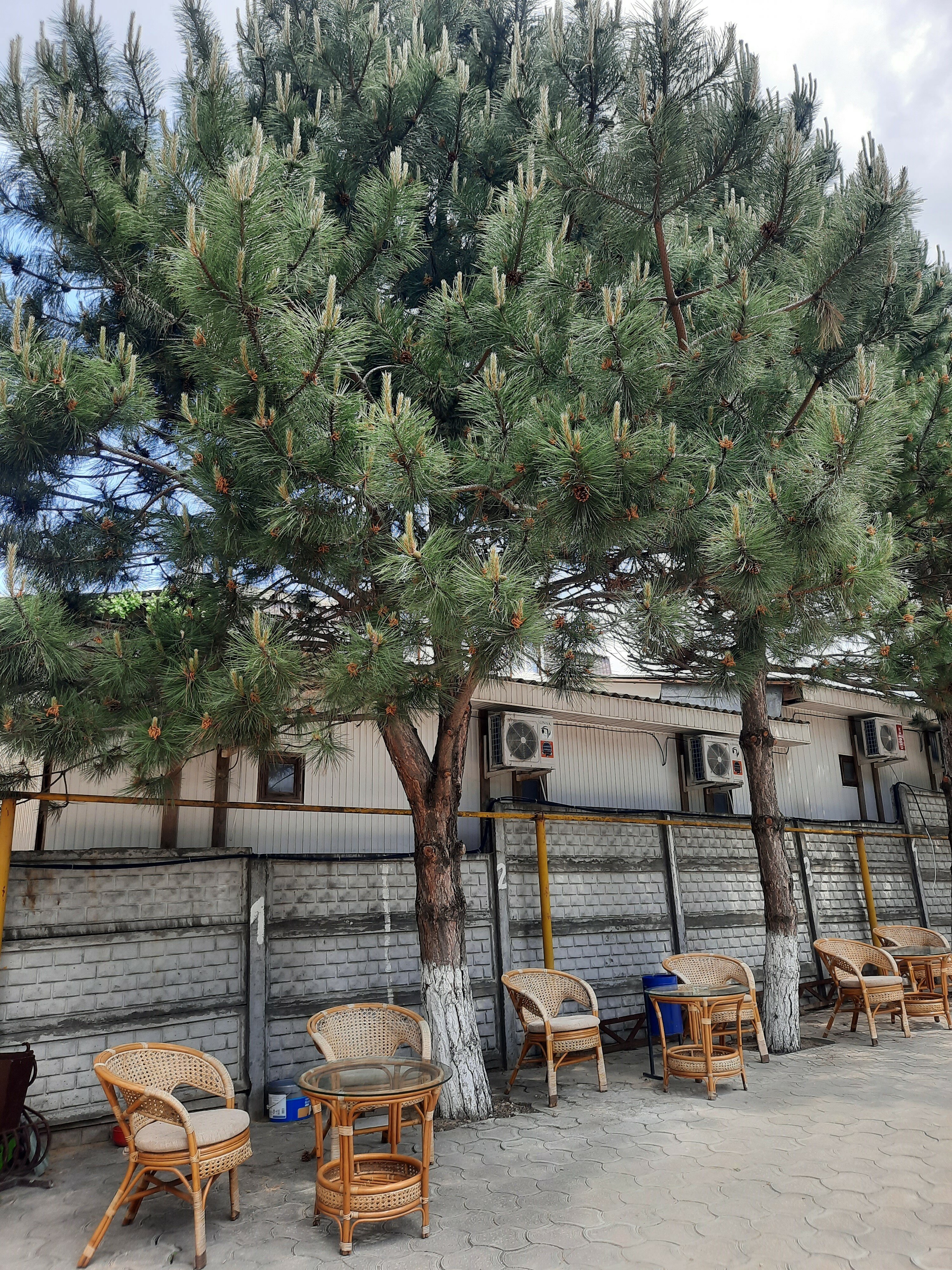 Фото Черноморский