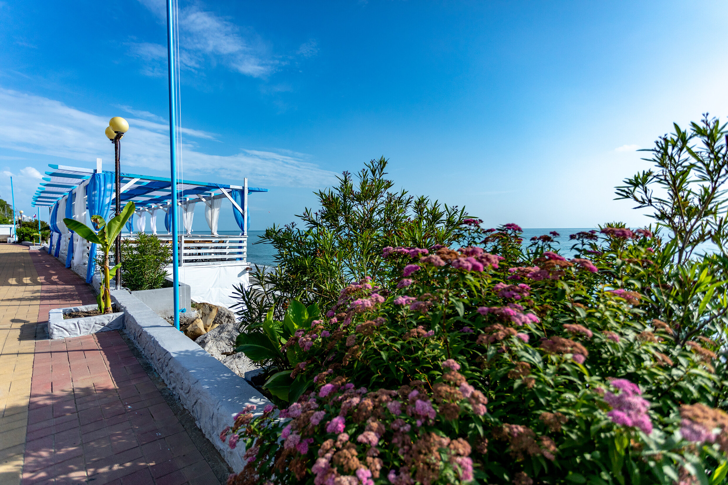 Фото Элизабет