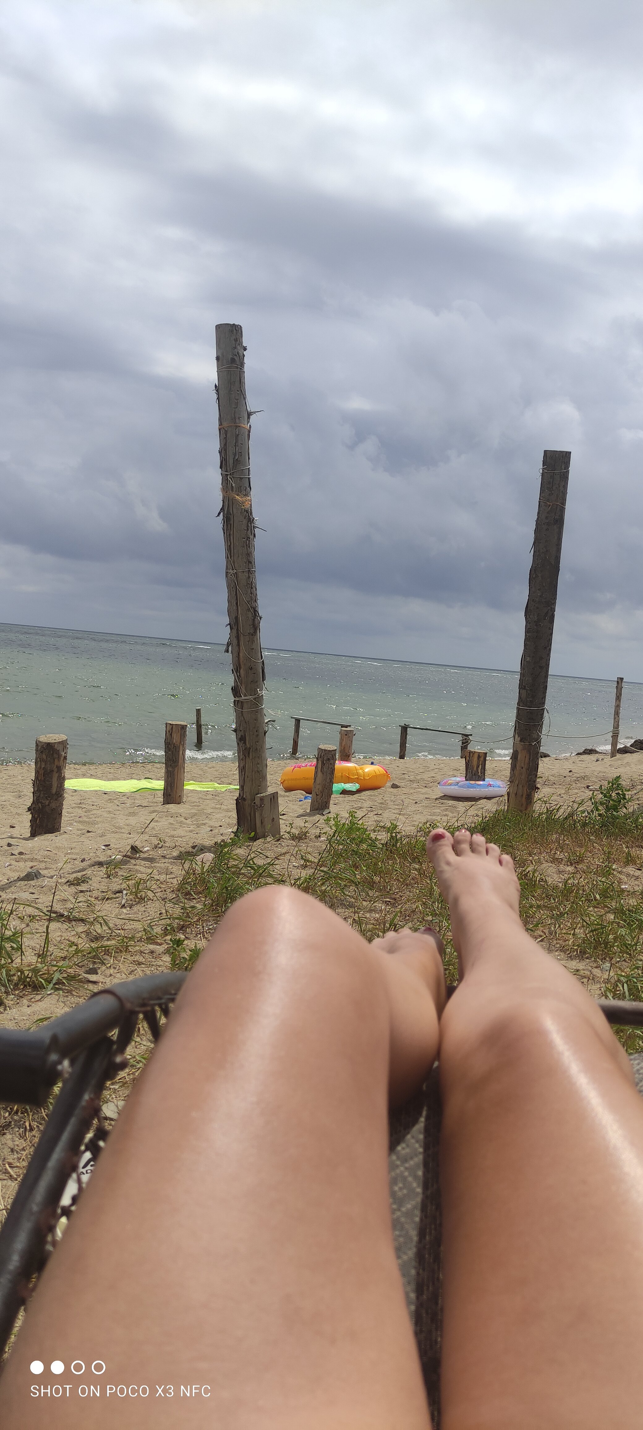 Фото Зелёная полянка