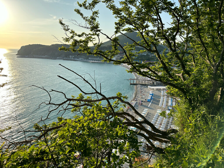 Фото Афалина