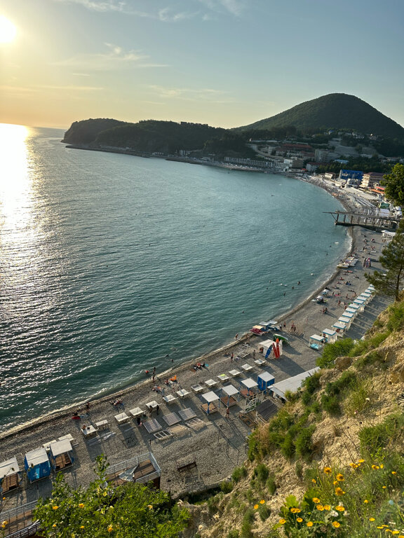 Фото Афалина