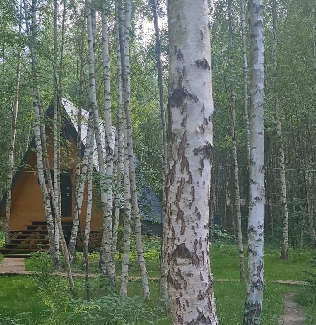 Фото АйДА relax