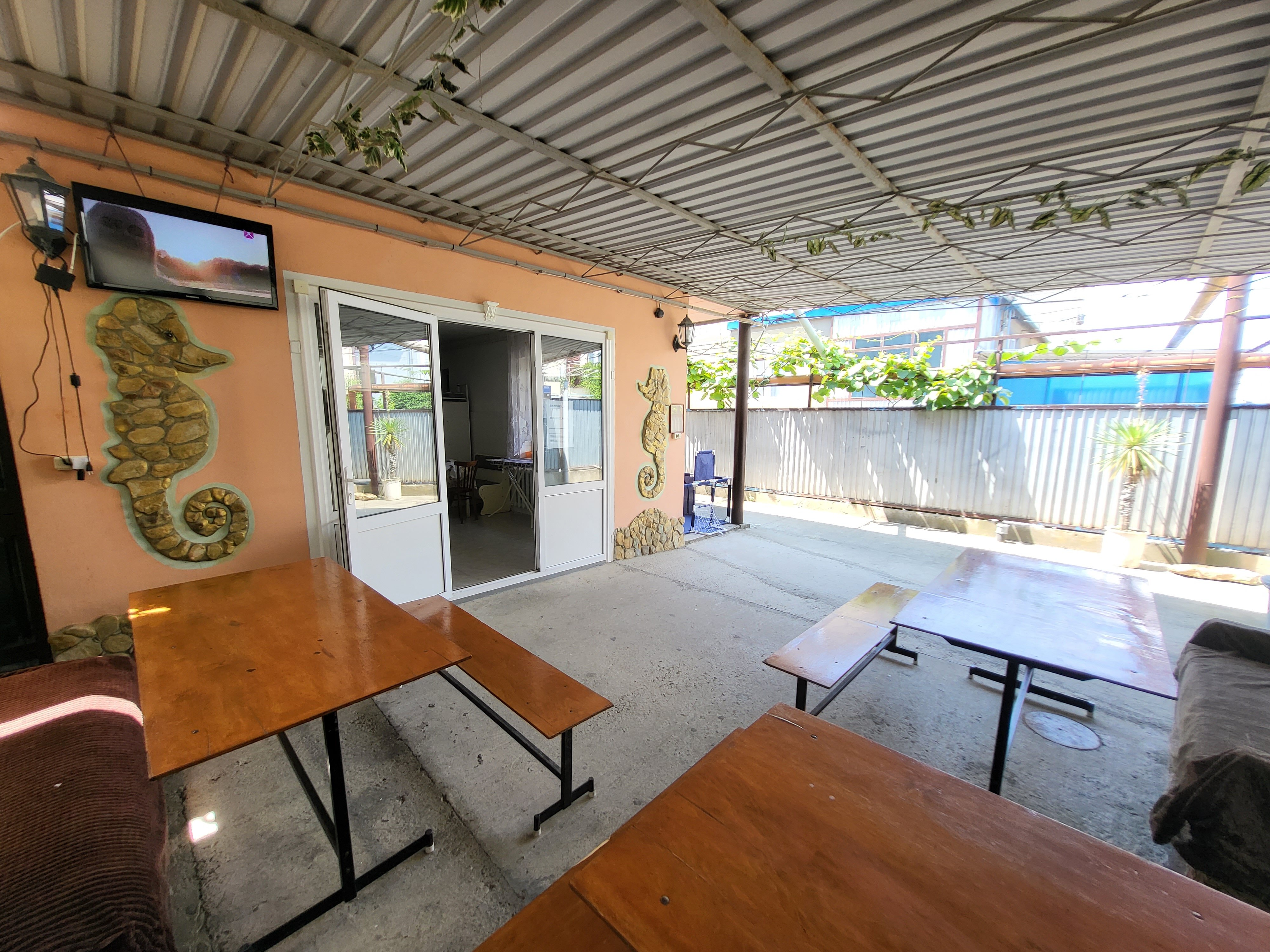 Фото Ариэль