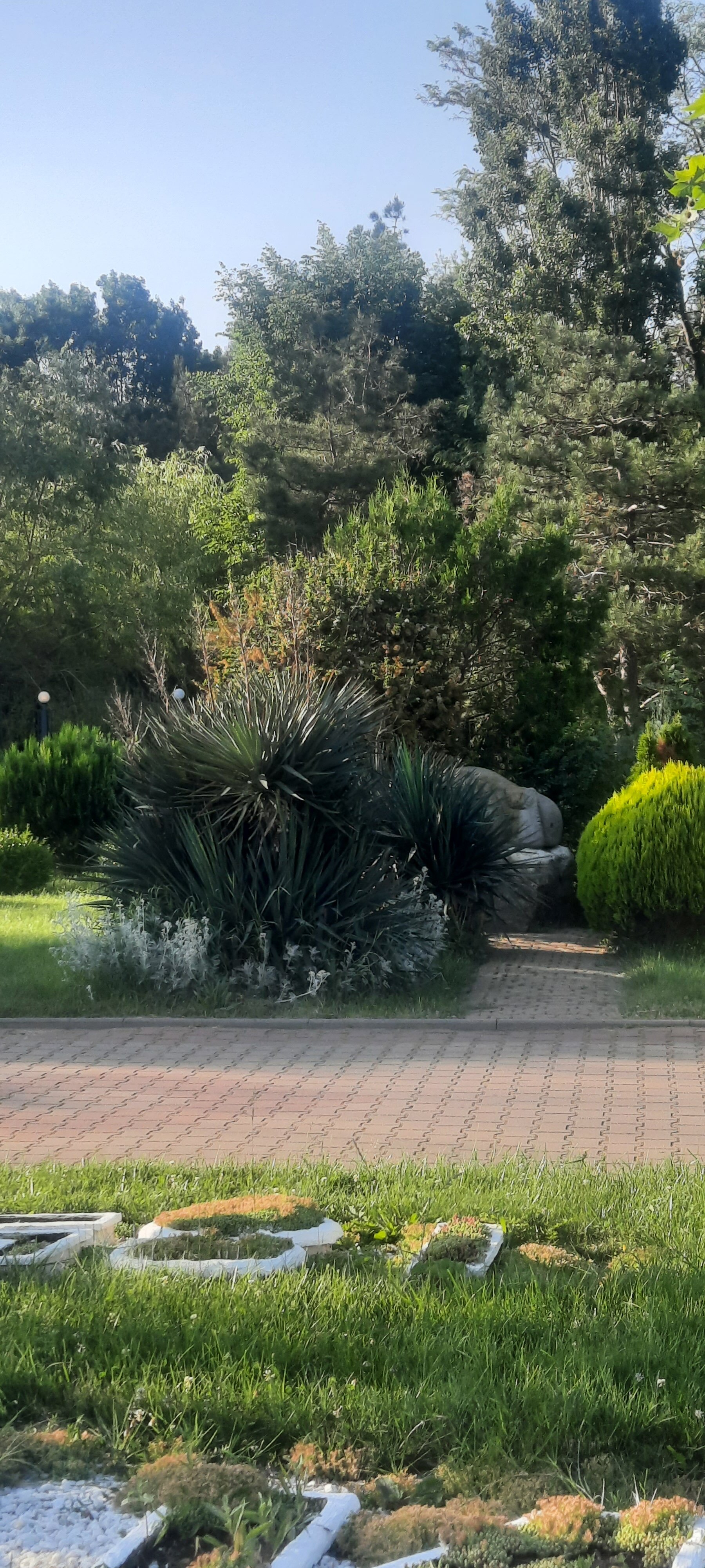 Фото Кристалл Апарт