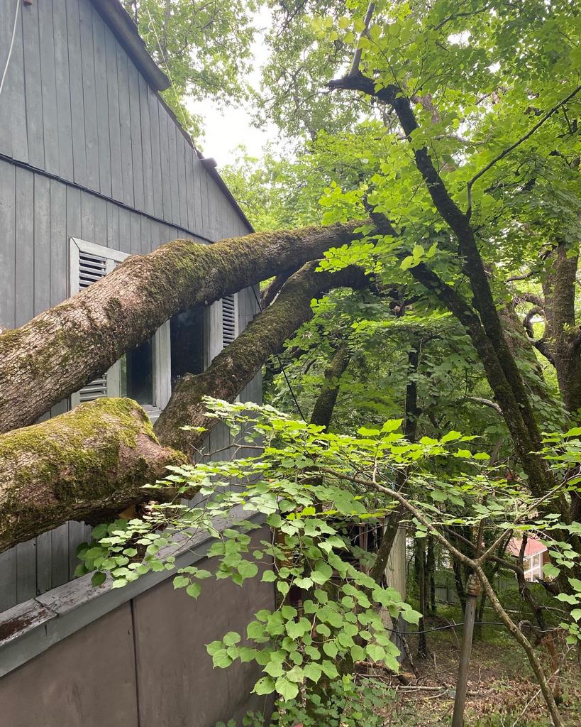 Фото Затерянный рай