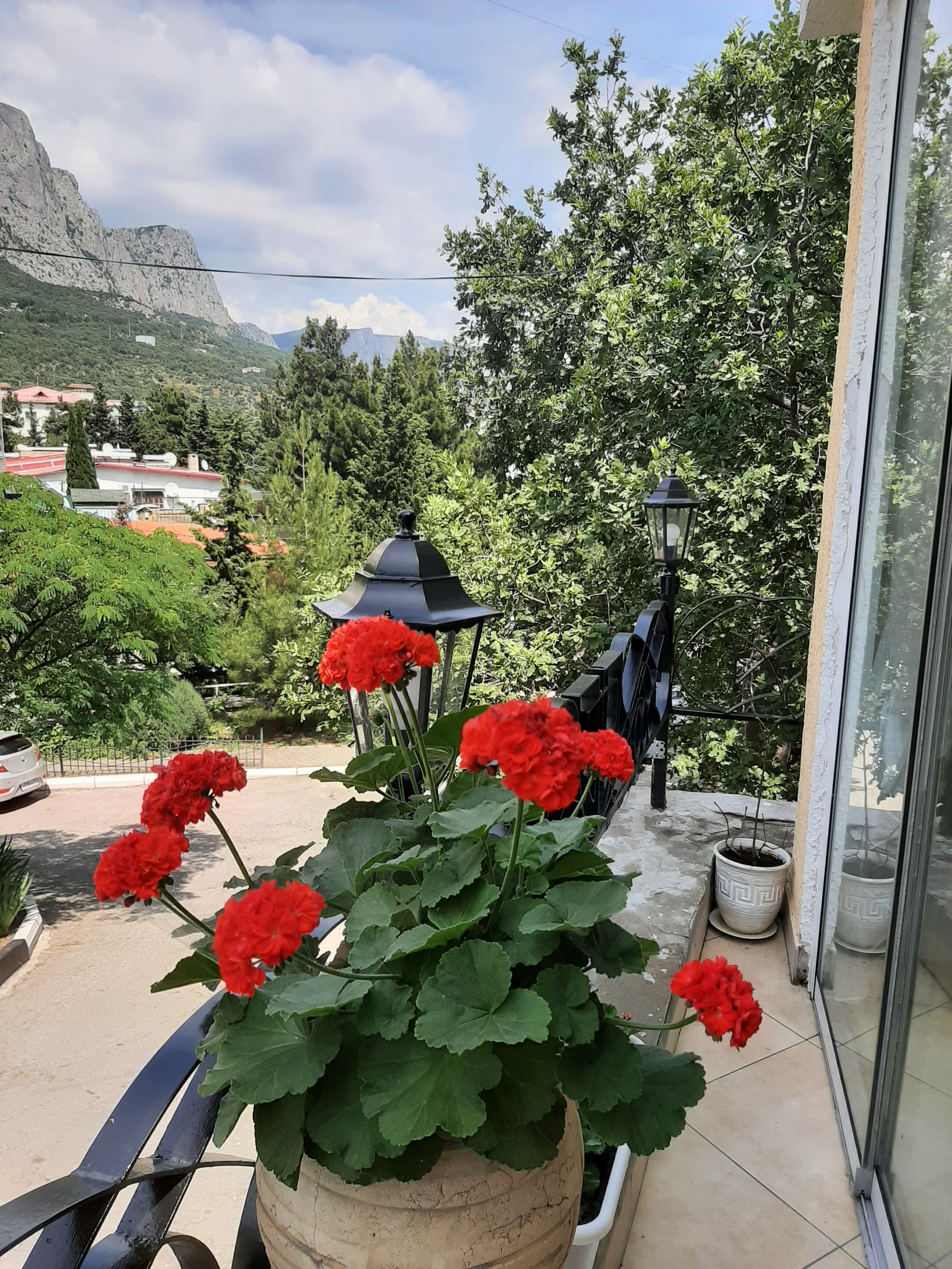 Фото Гранд Флёр