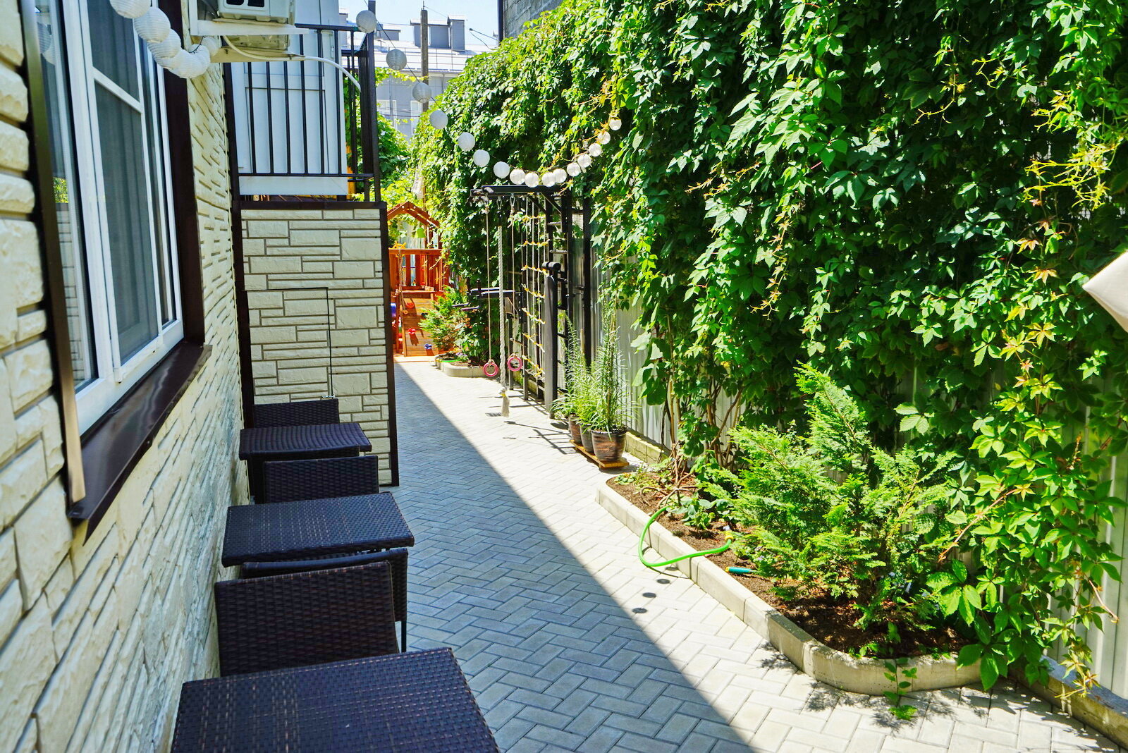 Фото Амико Club