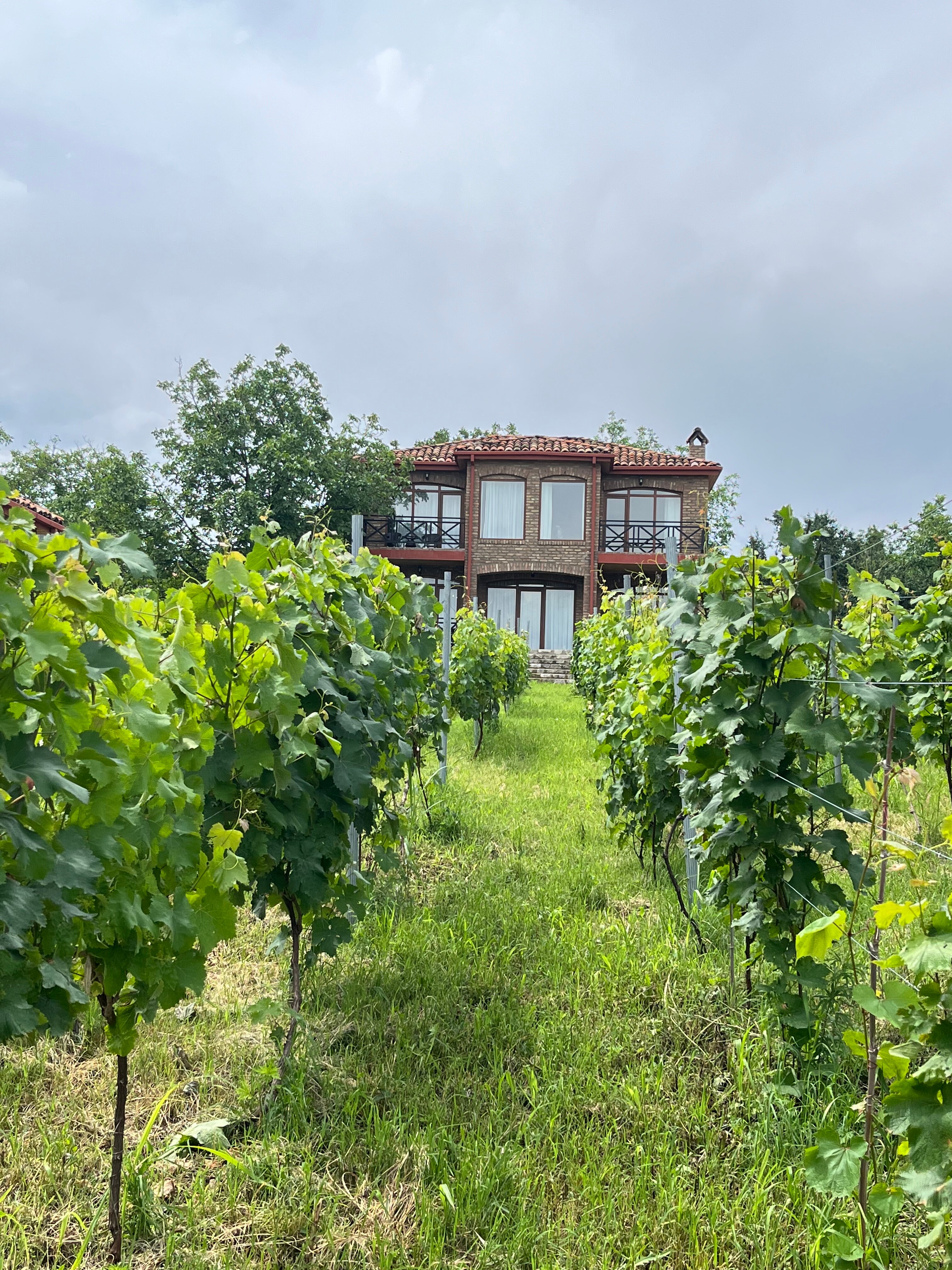 Фото Schuchmann Wines Chateau & SPA