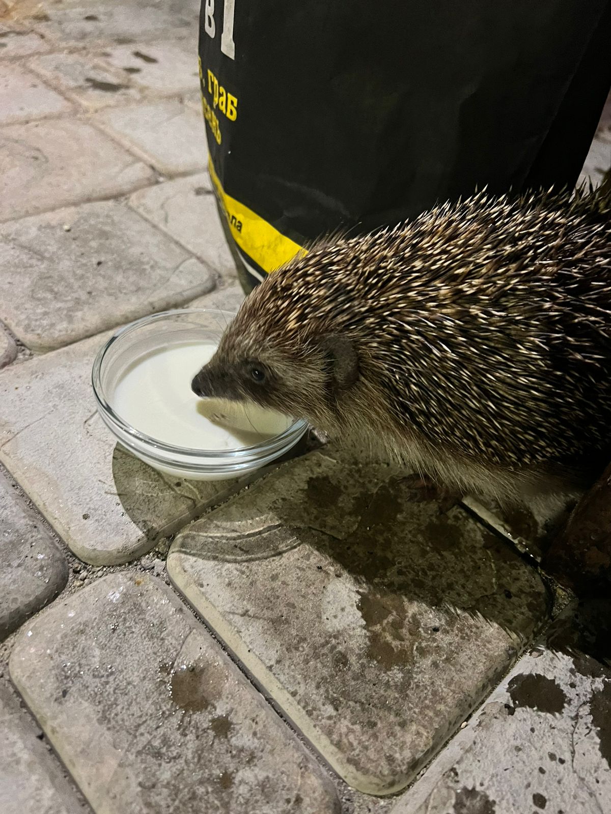 Фото Na Reydovoy