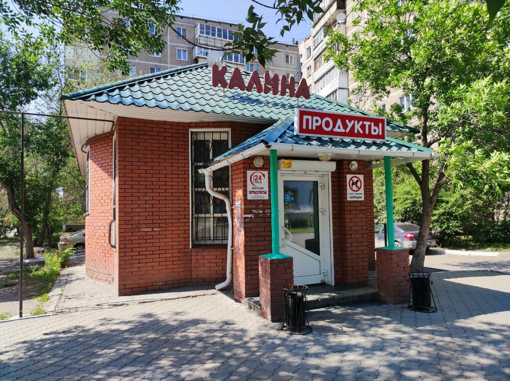 Магазин продуктов Калина, Челябинск, фото