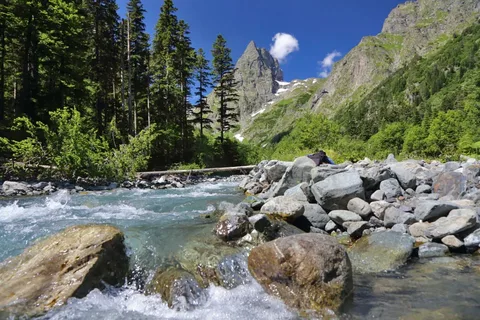 Фото Четыре сезона