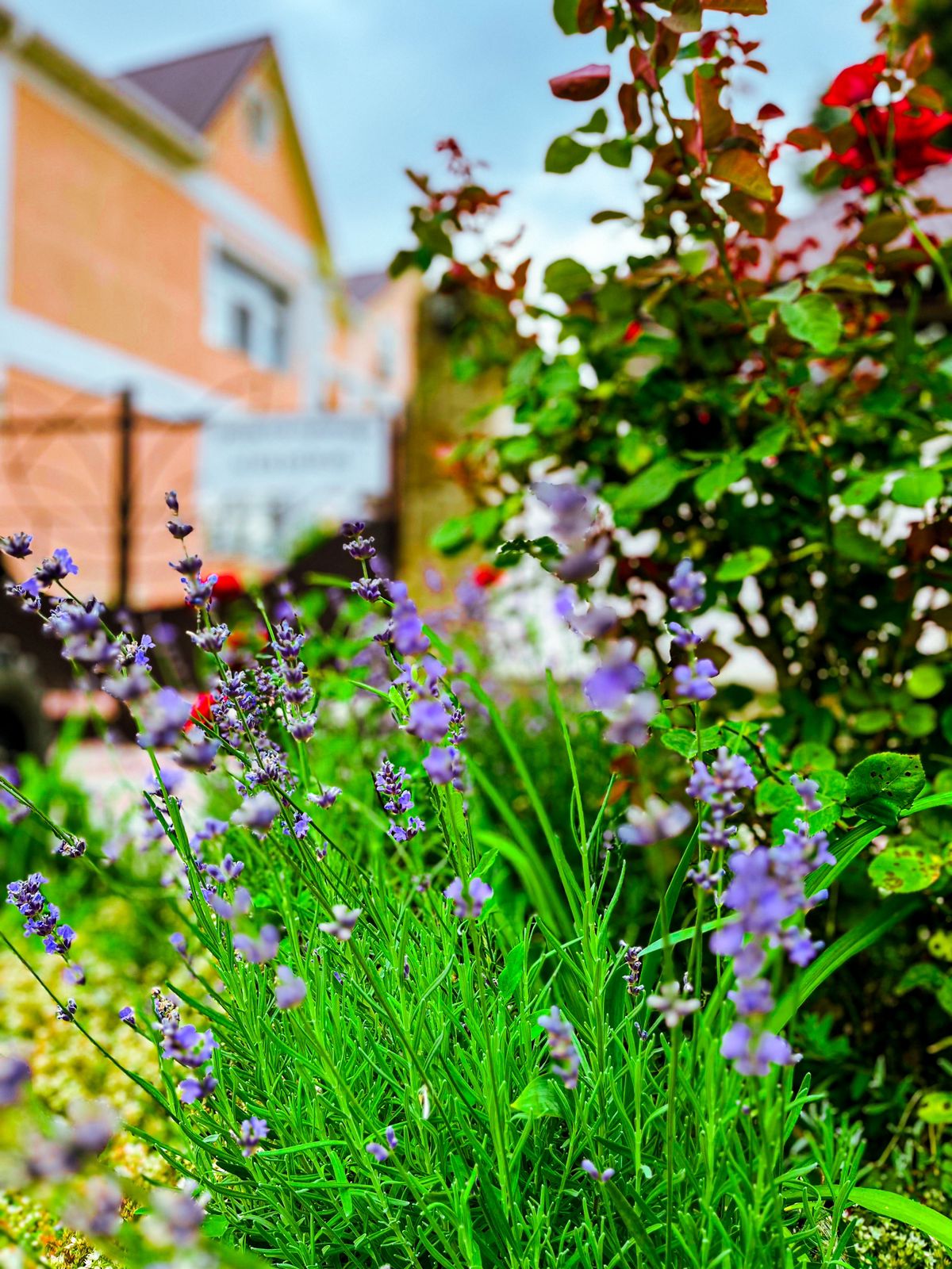 Фото Вилла Нимфей