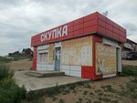 Tsentrovoj (mikrorayon Plodovo-yagodnaya opytnaya stantsiya, ulitsa Arbuzova, 42А) ، متجر توفير