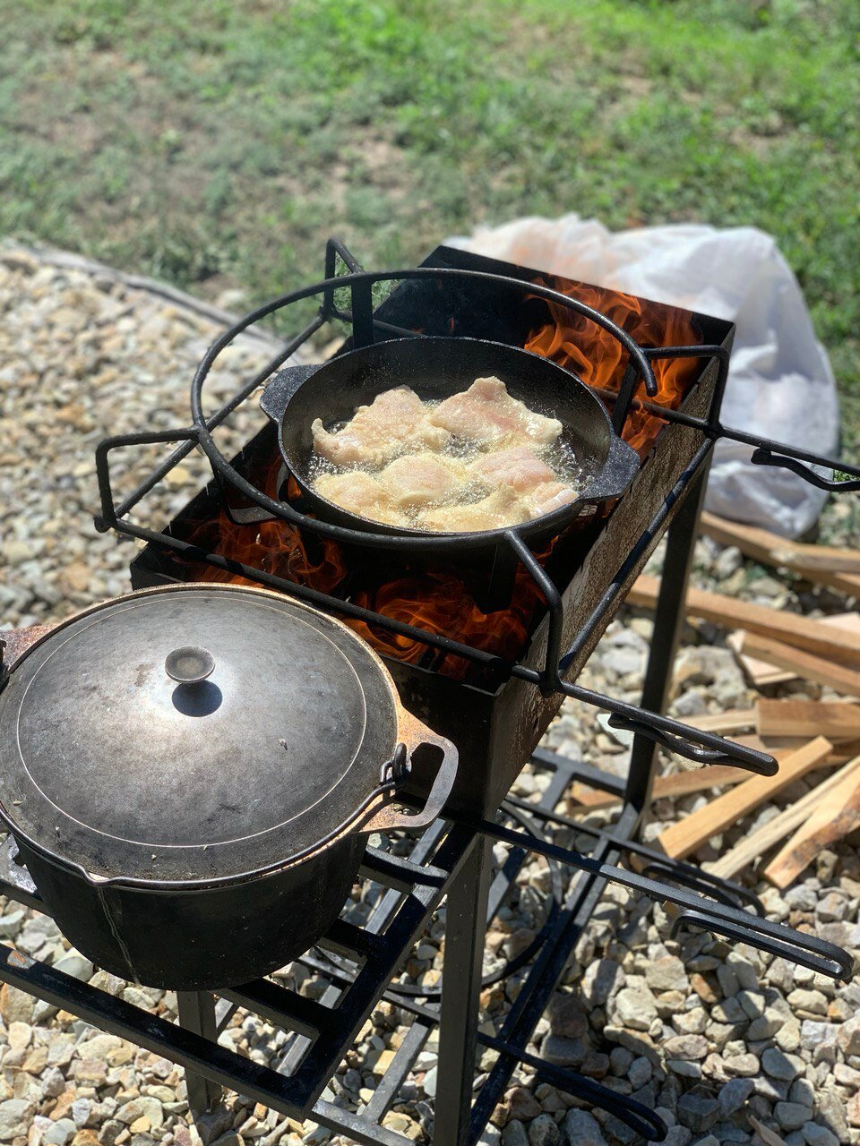 Фото Золотое