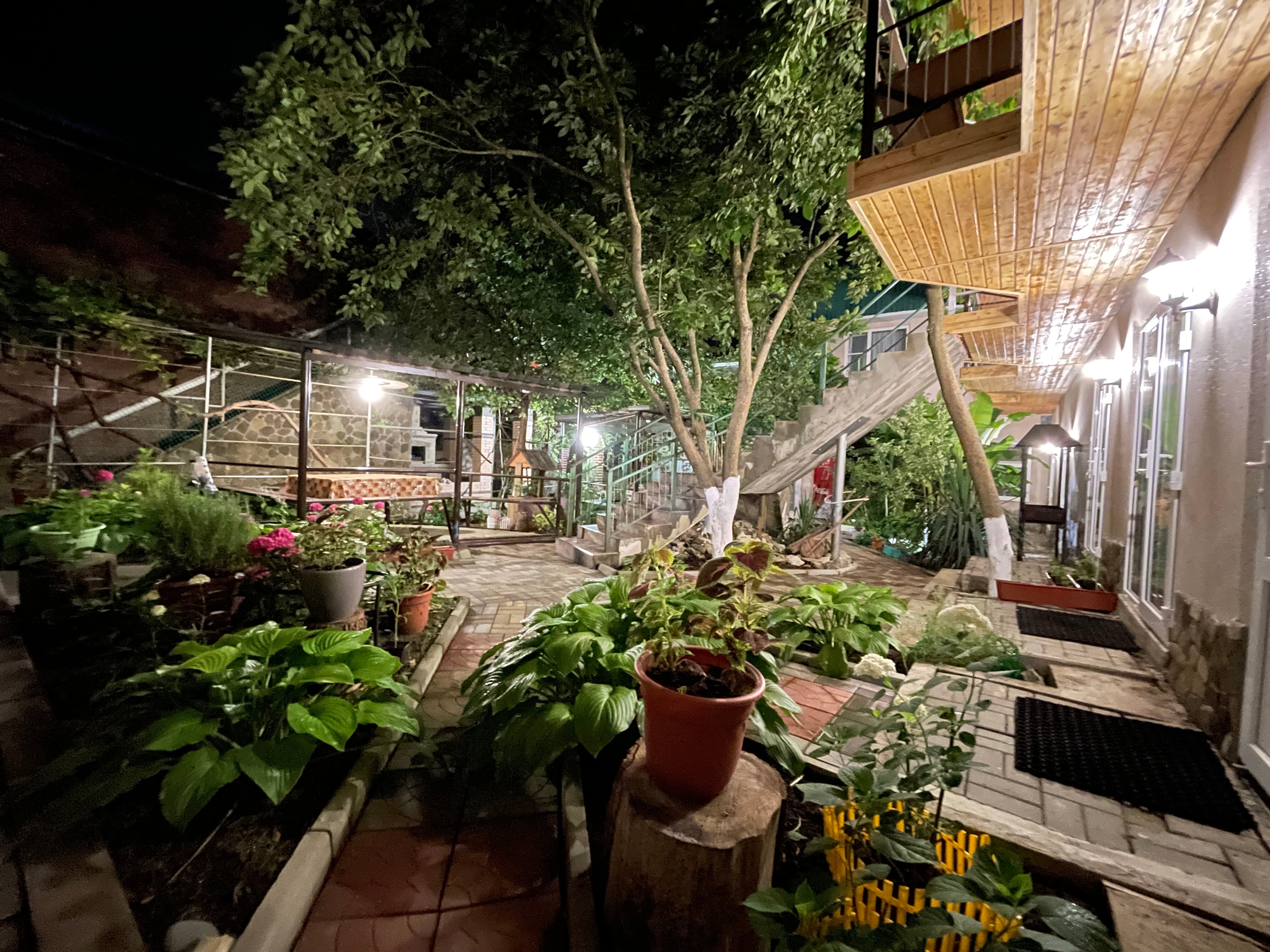 Фото У Михалыча