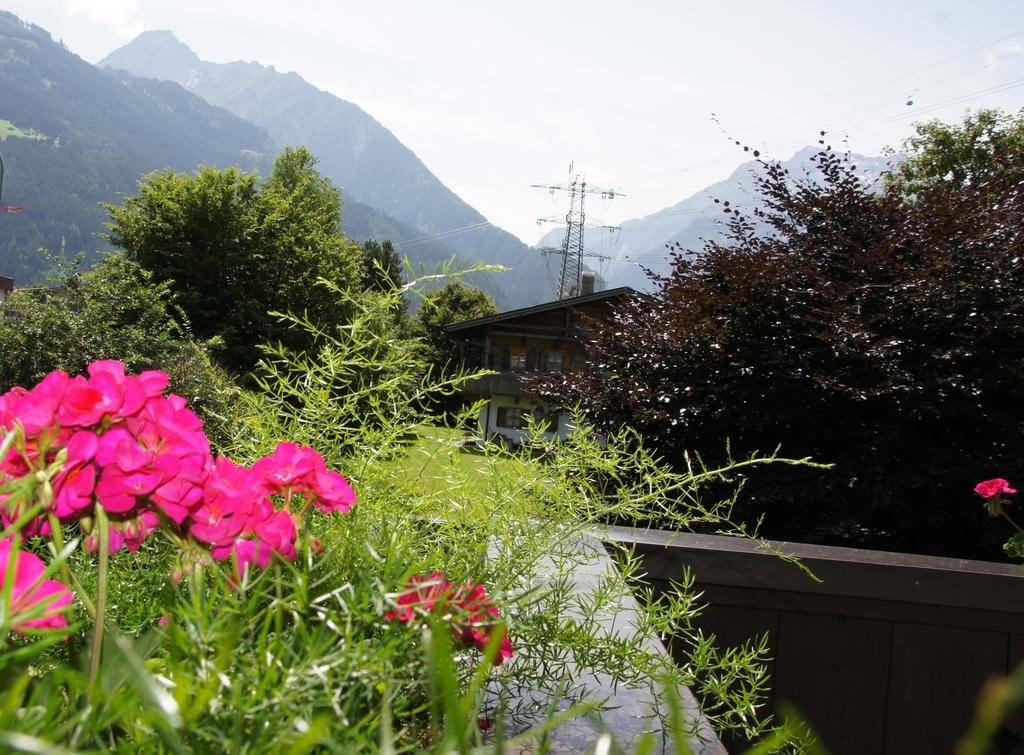 Фото Apart Matthias