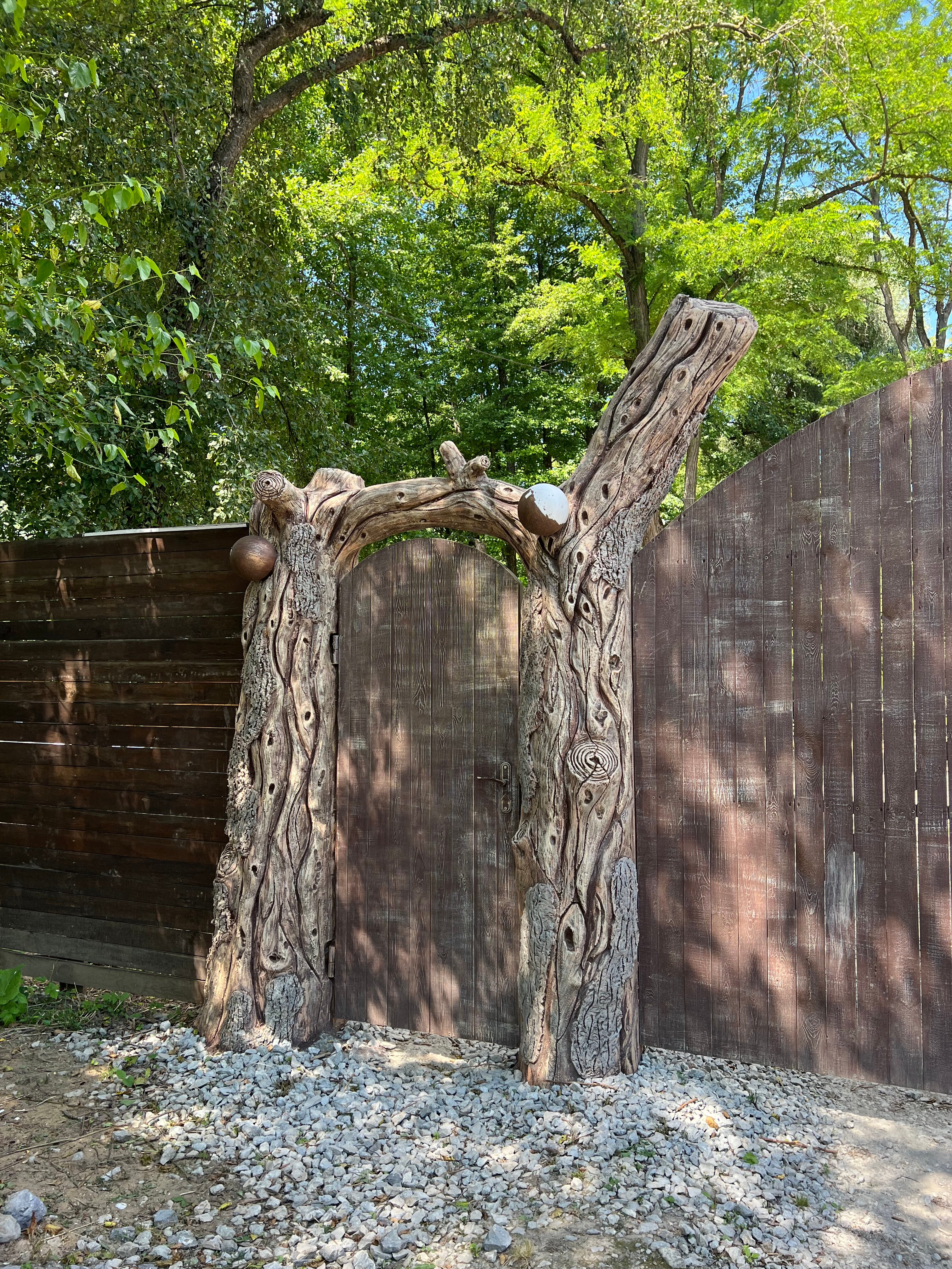 Фото Богатый лес