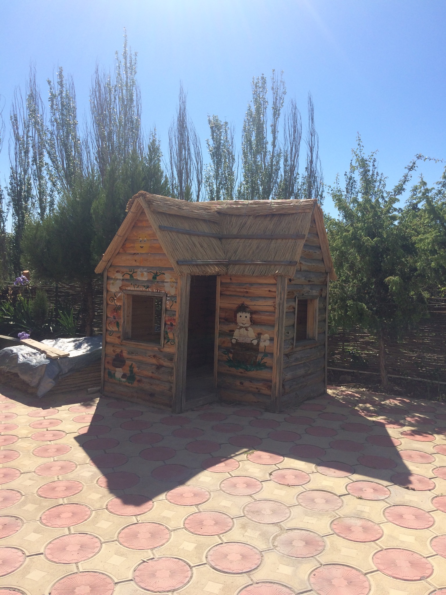 Фото Воробьиное гнездо