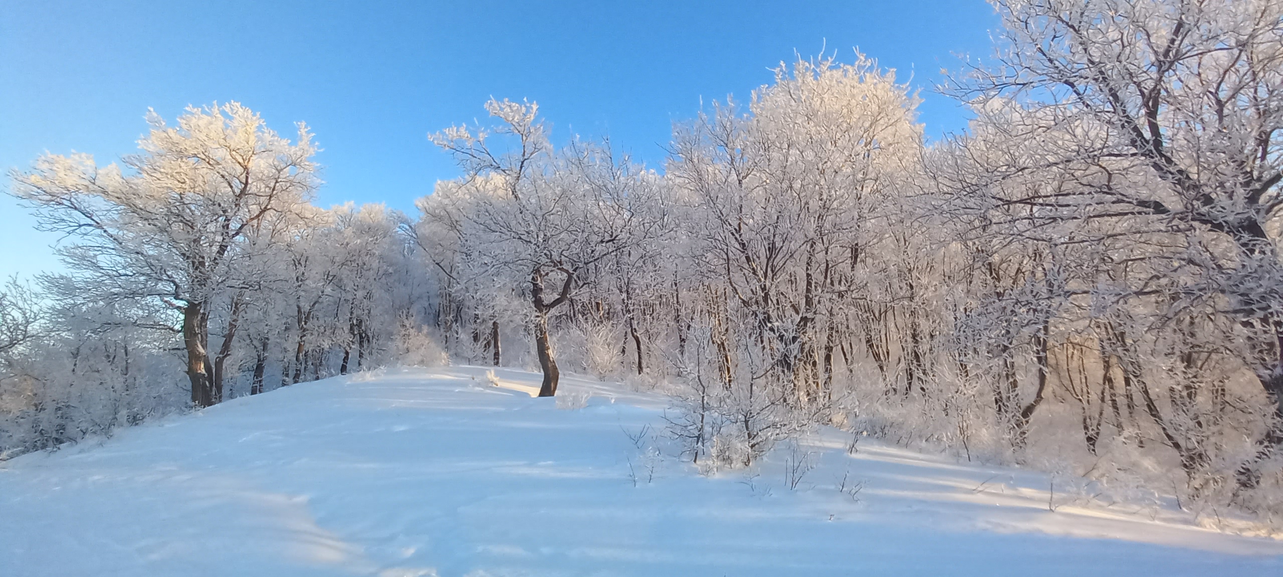Фото База отдыха Шиханы