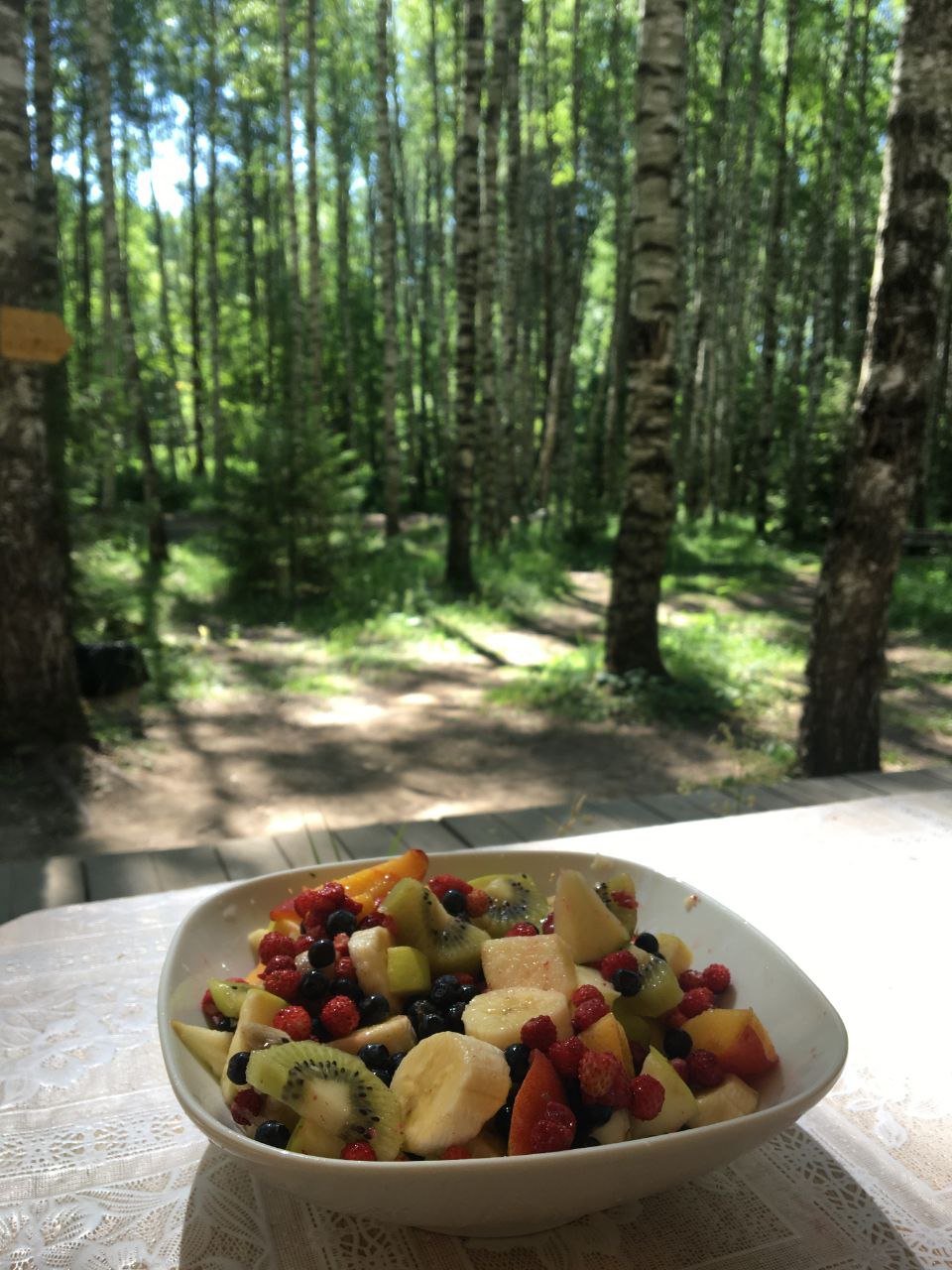 Фото Берег Грифона