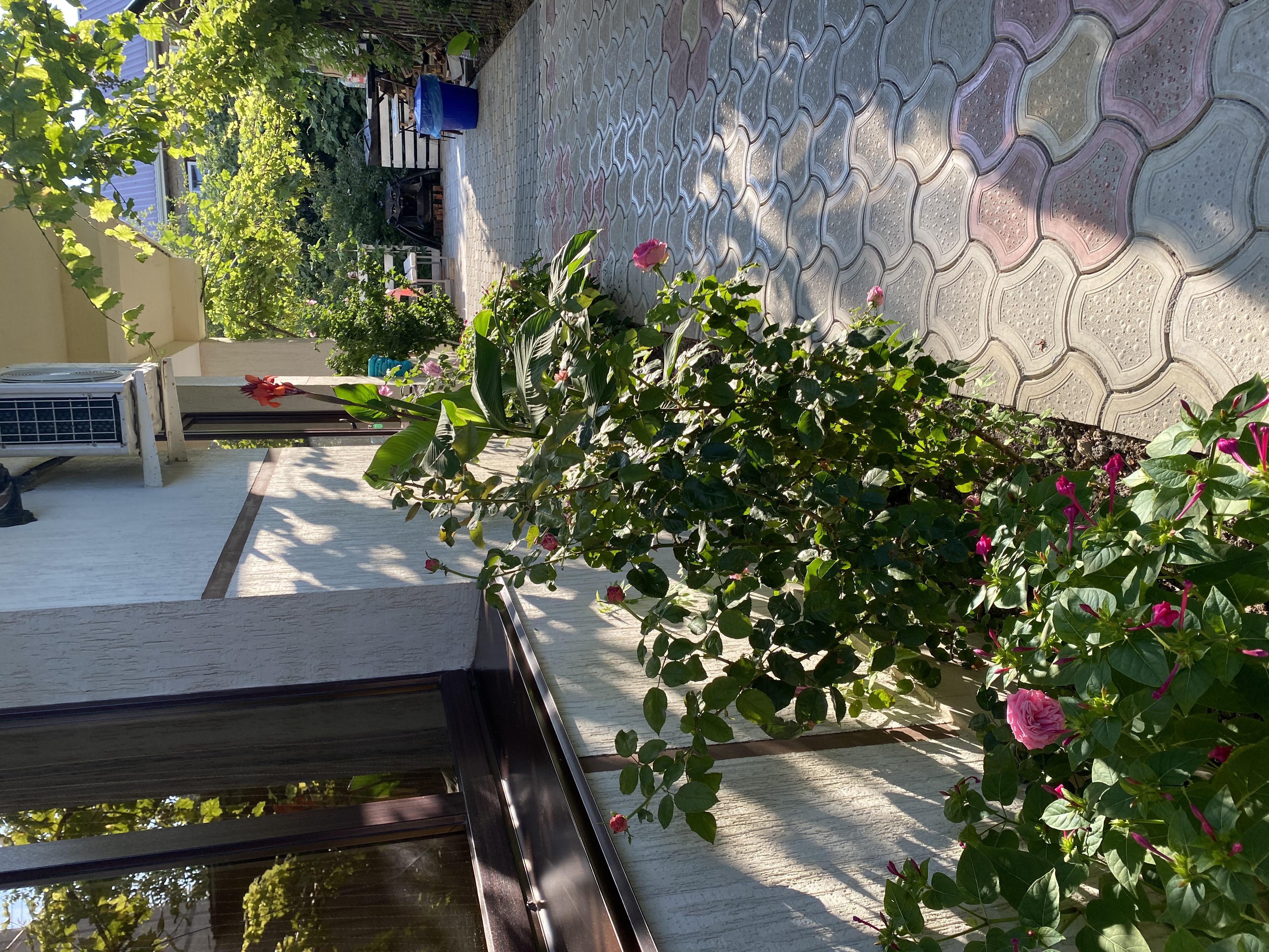 Фото Родничок