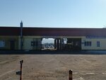 Taksi, Patp (Михайловск, улица Ленина, 164), bus transportation