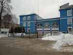 Нижегородское отделение ВДПО (Интернациональная ул., 22А), пожарные части и службы на Бору
