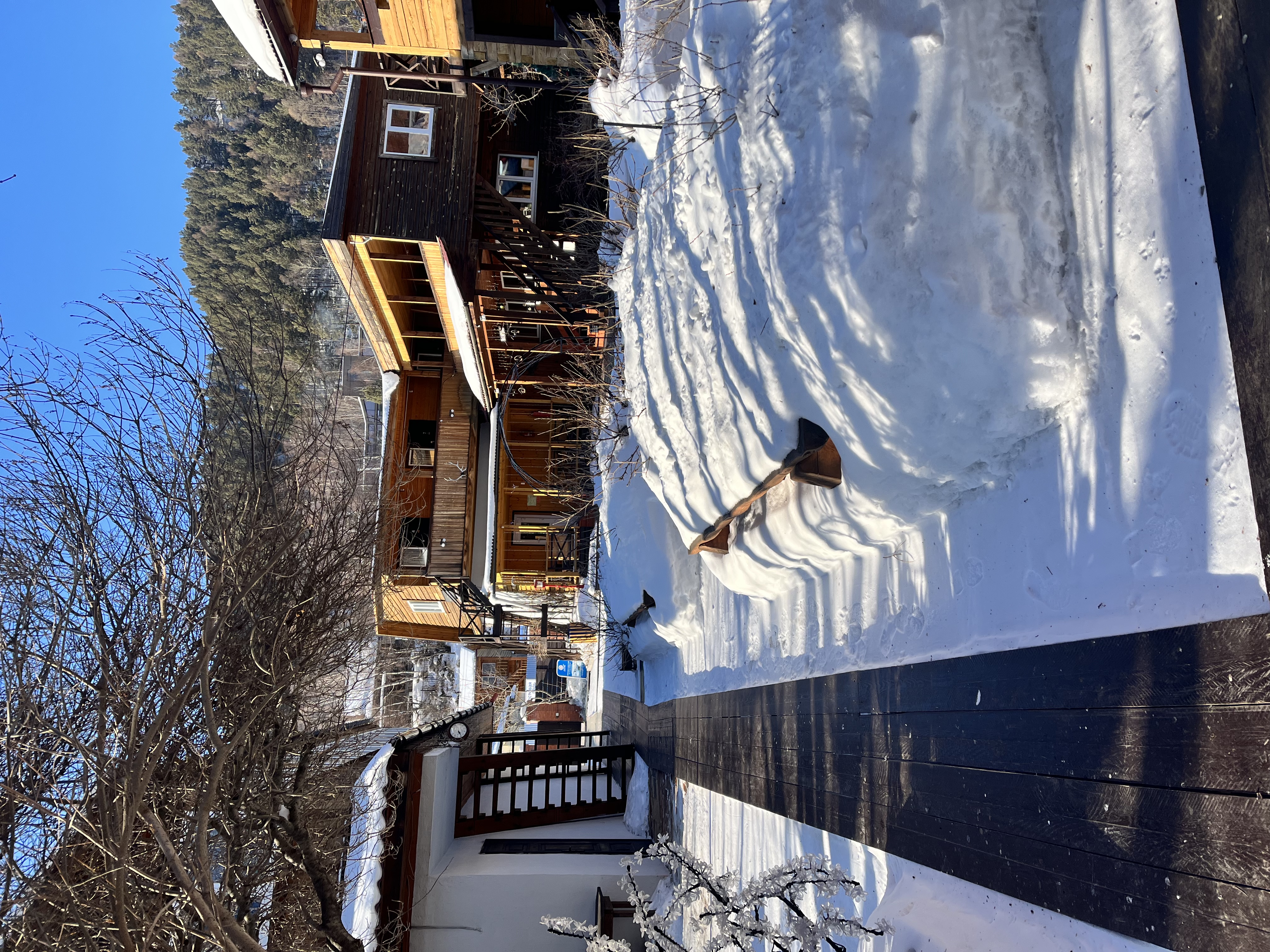 Фото Даурия