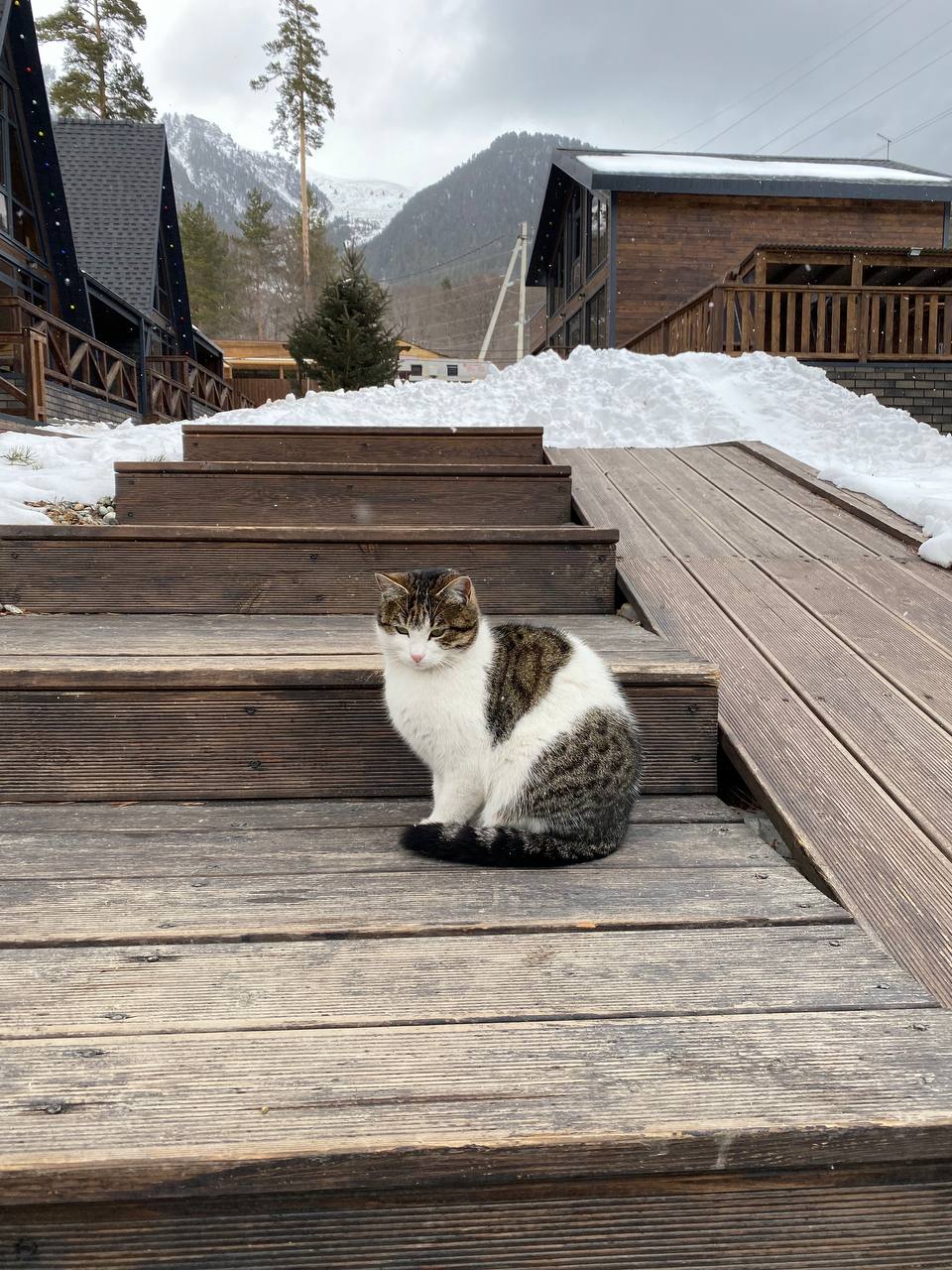 Фото Brooklyn Arhyz