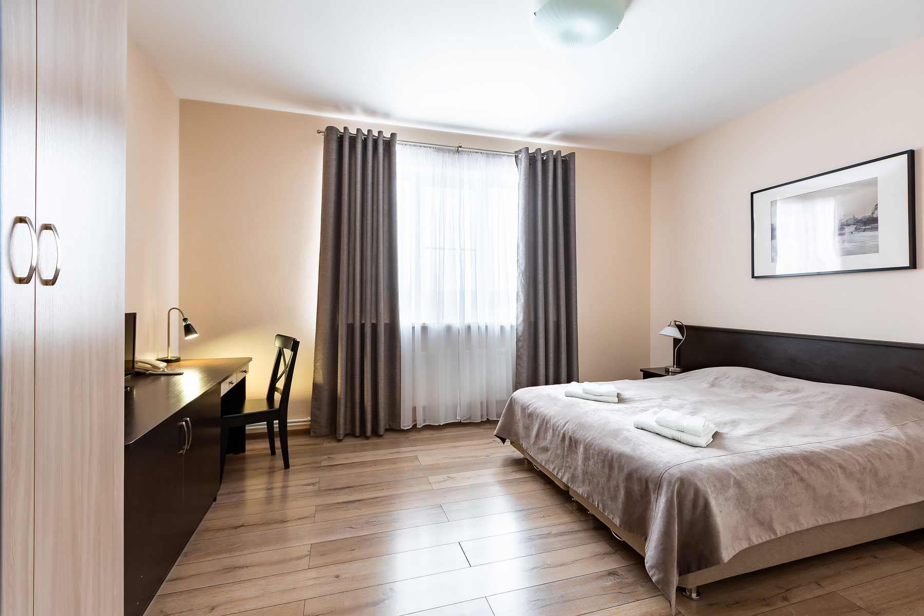 Фото Подсолнух