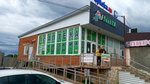Виола (Novotitarovskaya stanitsa, Sovetskaya ulitsa, 80), pharmacy