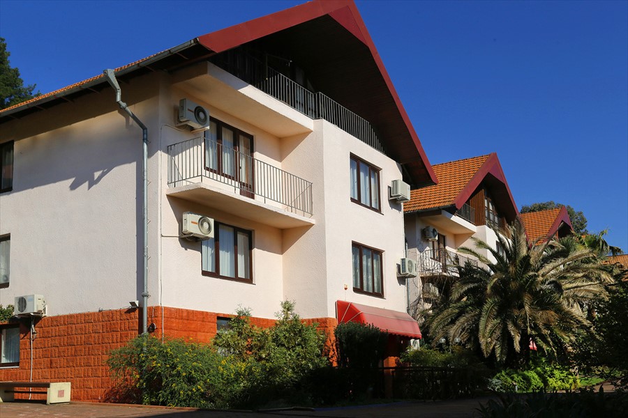 Фото Дивный