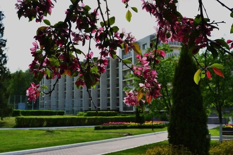 Фото Санаторий работников органов прокуратуры РФ Истра