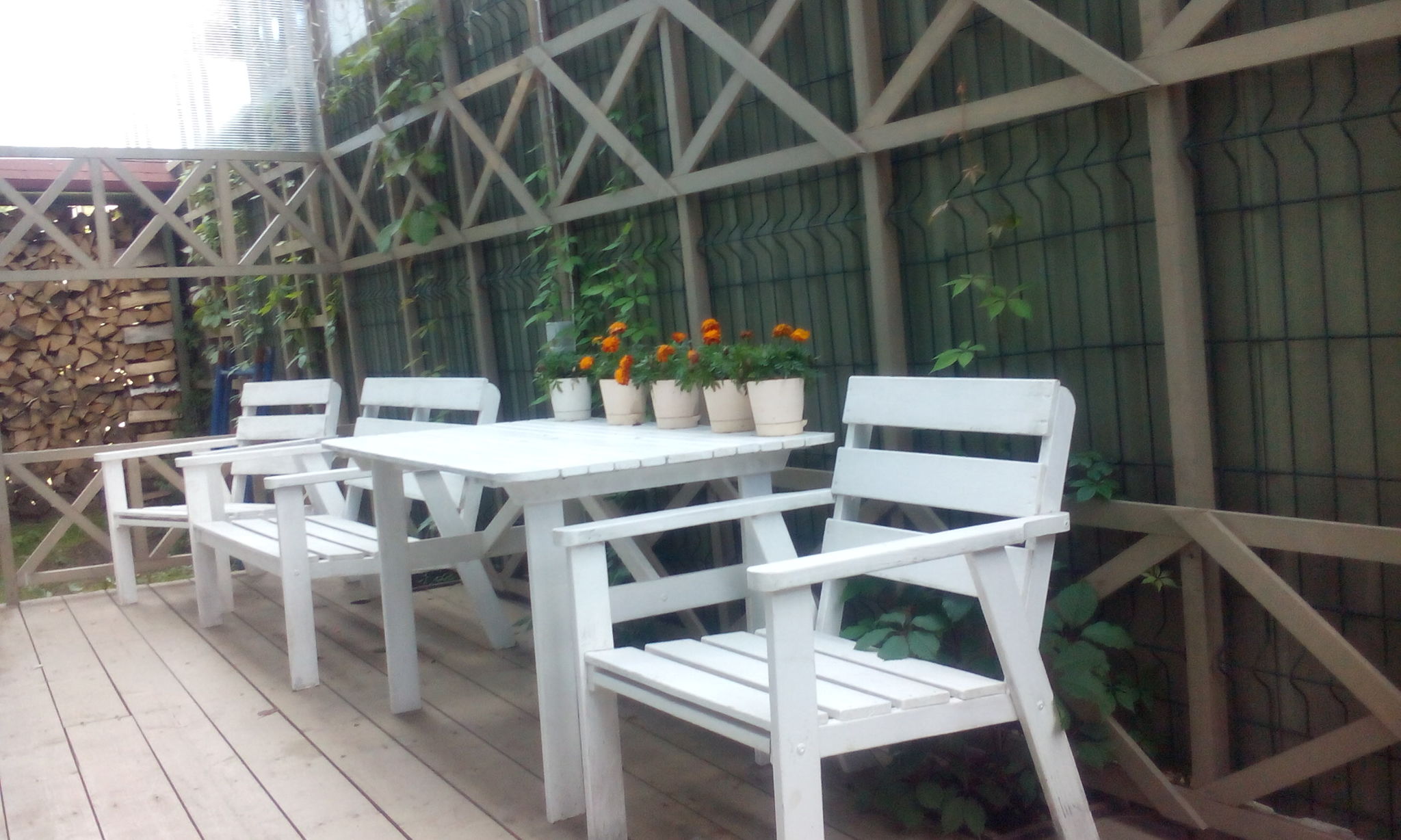 Фото Ближние Дубки