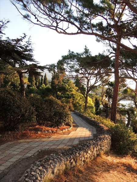 Фото Лиго Морская