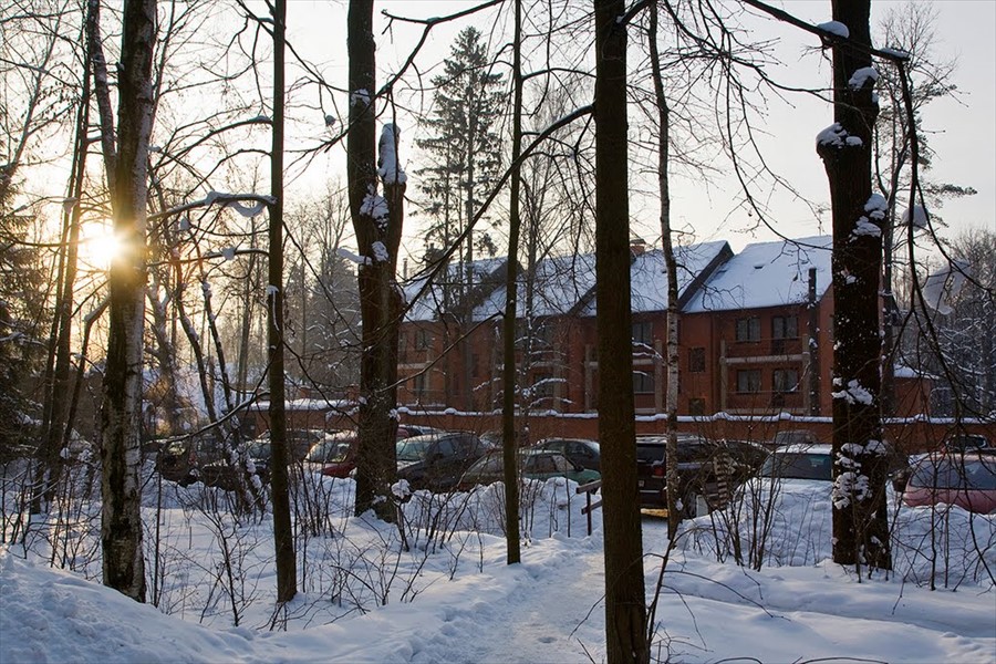 Фото Солярис