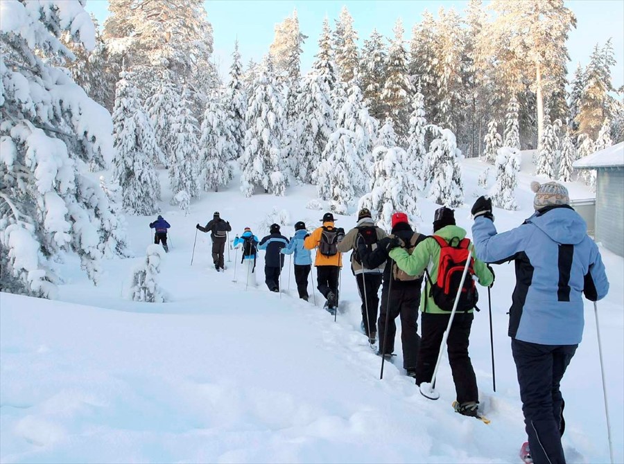 Фото Парк-отель Волжский прибой