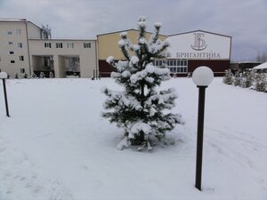 ГК Бригантина