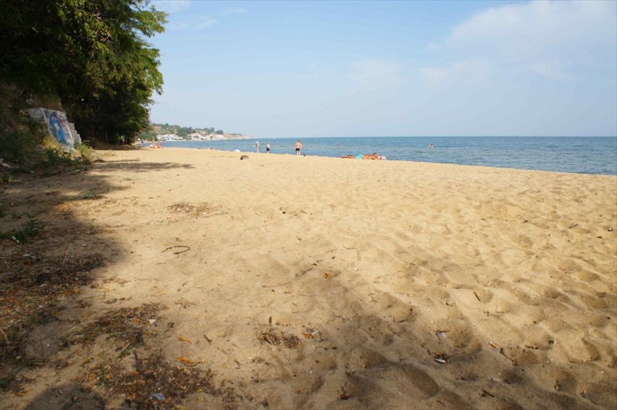 Фото Мечта Тея