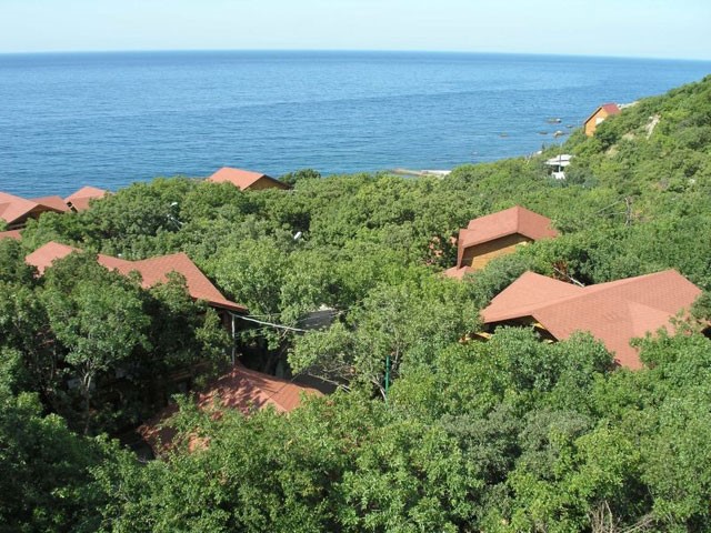 Фото Артемида